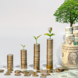 6-Month Personal Finance Audit - In-Depth Spending Review